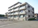 マンションディアコートの間取り画像