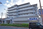 エバーグリーンハイツの間取り画像