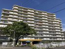 五日市シーサイドハイツの間取り画像