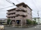 プロキオンの間取り画像