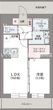 ルミエール碧の間取り画像