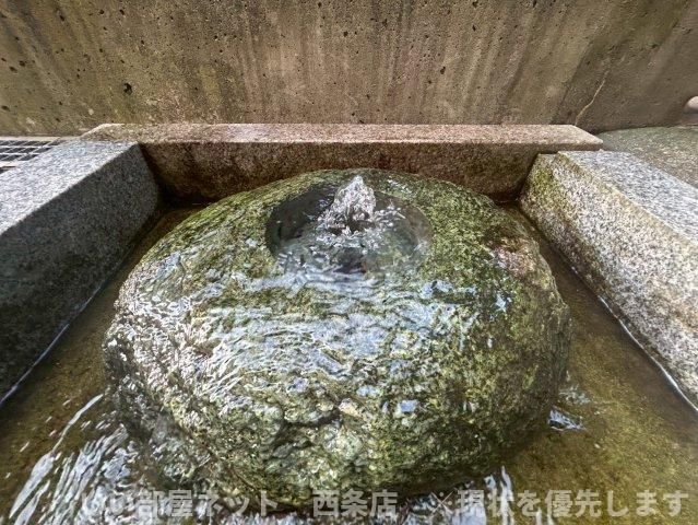 庭