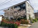 ベレオ南島田の間取り画像