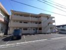 マンションフェリシモの間取り画像
