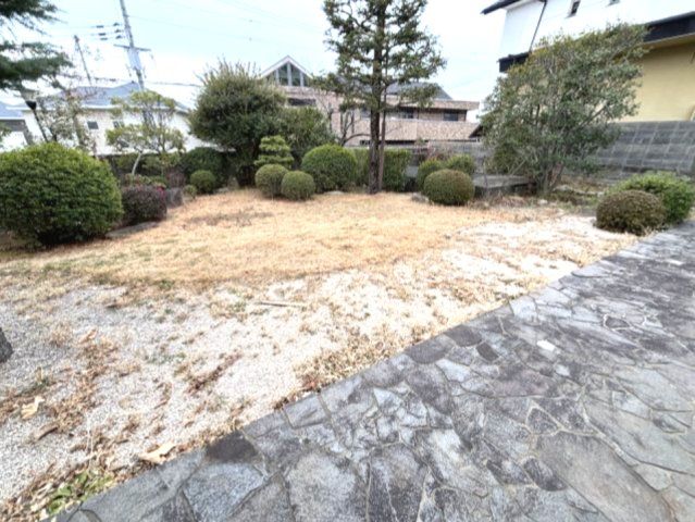 庭