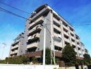 ELL・GRANDEの間取り画像