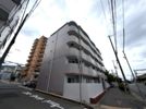シャトラン弓木参番館の間取り画像