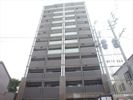 アクタス福岡県庁前グラシアの間取り画像