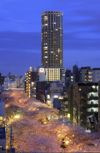 中目黒アトラスタワーの間取り画像