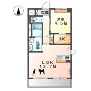 グランドソレイユの間取り画像