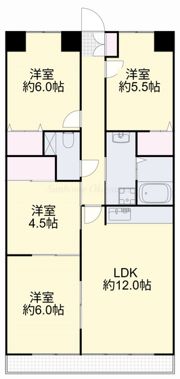 コニファープラザ新福の間取り画像