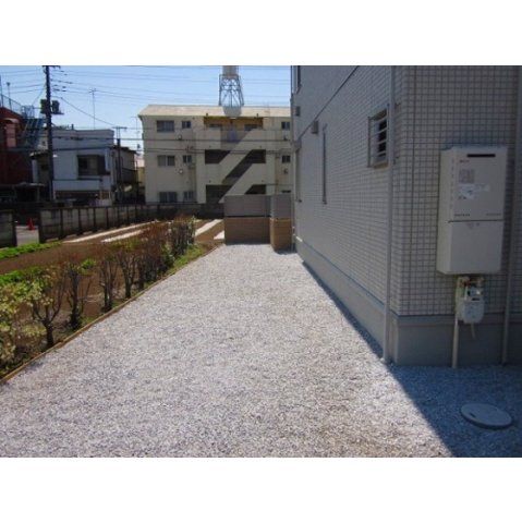 庭