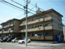 サンライズ城前の間取り画像