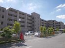 タートルクレインふじみ野Ⅱの間取り画像