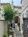 八幡山戸建の間取り画像