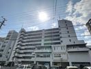 サルヴァトーレ大橋の間取り画像