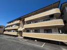 ドミール・エヌの間取り画像