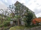 グランドメゾン平尾浄水の間取り画像