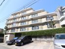 エルム西大濠の間取り画像