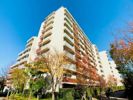 Brillia ist 三軒茶屋 アイビーテラスの外観