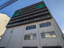 ステラ平塚の間取り画像