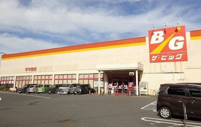 ザ・ビッグ焼山店まで2600m