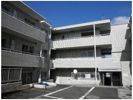 クリオ上大岡伍番館の間取り画像