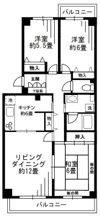 清新中央ハイツ 5号棟の間取り画像