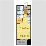 シェルグランデ鉄砲町東の間取り画像