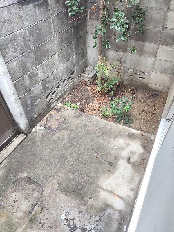庭