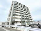 リヴィエールソフィア日明 1103号室の間取り画像