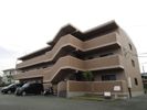 エトワール新地の間取り画像