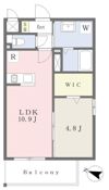 Saludの間取り画像