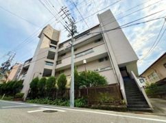 鹿の子ハイツの外観画像