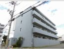 フロンティア中川の間取り画像