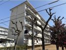 富田団地71号棟の間取り画像