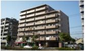 ロイヤルシラコの間取り画像