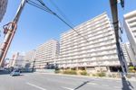 コープ野村亀戸西棟の間取り画像