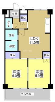 メゾンワシヅの間取り画像