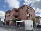 DYNASTY古知野の間取り画像