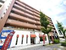 ウイステリア星ヶ丘の間取り画像