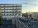 リブリ・MORE 2ndの間取り画像