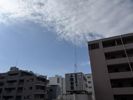 ジオ横浜大通り公園の間取り画像