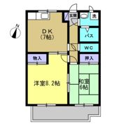 シードルハイツⅢの間取り画像