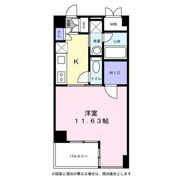 リオ・ヴェルデの間取り画像