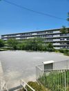 京急逗子線 六浦 徒歩9分 貸マンションの間取り画像