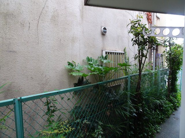 庭