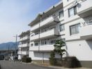 第4真屋ビルの間取り画像