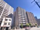 ネストピア博多グランドステージ2の間取り画像