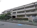 サンコート西荻窪の間取り画像